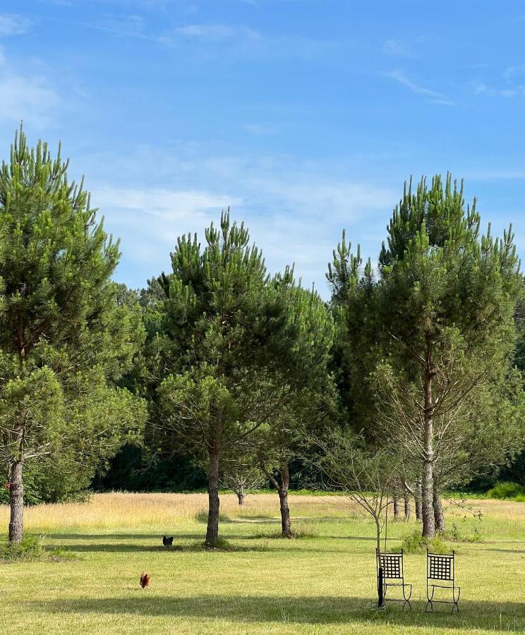 לינה וארוחת בוקר סניוס Laguillotte מראה חיצוני תמונה